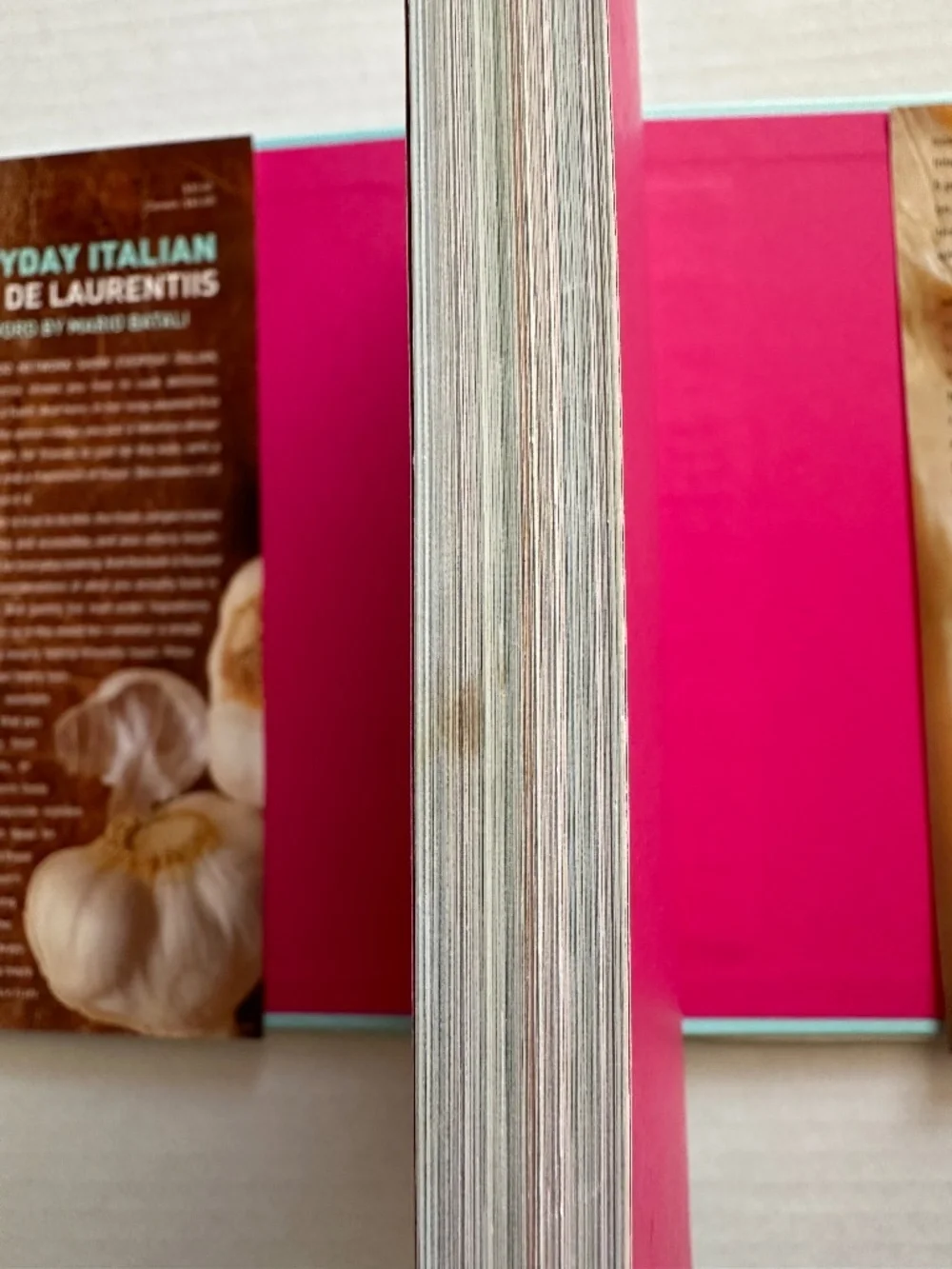 “Everyday Italian” Giada de Laurentiis Cookbook